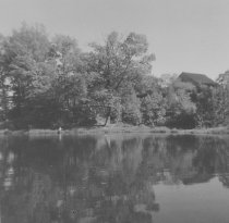 Allen Pond 1955